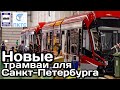 Новый трамваи для Санкт-Петербурга. «Богатырь-М» и «Витязь-М» | New trams for St. Petersburg