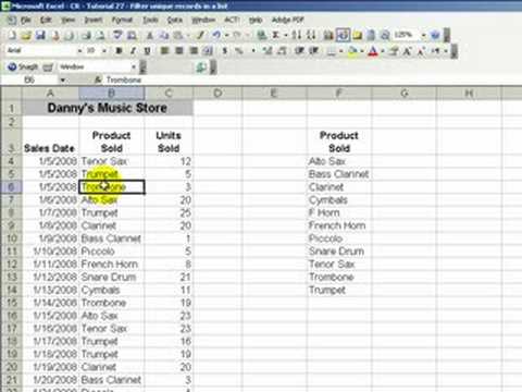 Excel's Advanced Filter Finds Unique Records & Copies Them