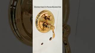 European Vintage Telephone Style Shower Set | Exposed Rain & Hand Shower Combo