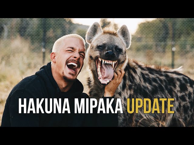 Hakuna Mipaka - December Update class=