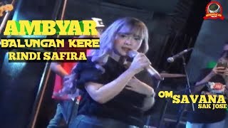 BALUNGAN KERE - RINDI SAFIRA - OM SAVANA SAK JOSE