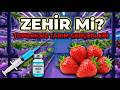 Topraksız Tarımda ZEHİR Var Mı Plastik Sebze Efsanesi vs Bilimsel Gerçekler