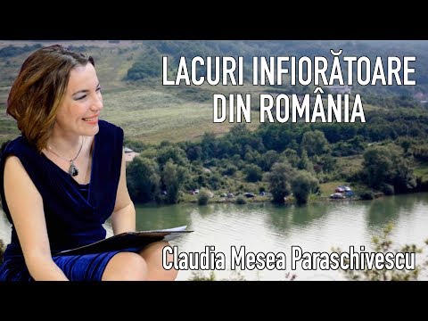 Video: Scufundați Marile Lacuri: Salvați Un Naufragiu - Rețeaua Matador