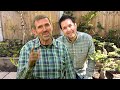 Gardeners world at home with adam frost ben riley