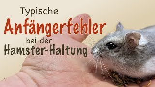 Happy hamster: Beware of these mistakes