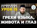 УРОК 15. ГРЕХИ ЖИВОТА, ГЛАЗ И ЯЗЫКА. ОСНОВНЫЕ ЗНАНИЯ ПО ИСЛАМУ