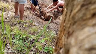 Treasure hunting in bohol