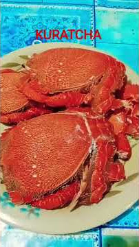 KURATCHA now lang po naka kain nito. #highlights #views #ytshorts #ytviral #ytshortsvideo