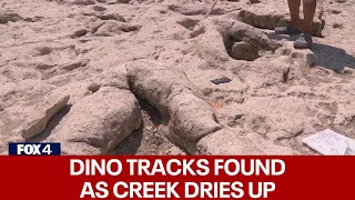 Dinosaur tracks found at Dinosaur Valley State Park