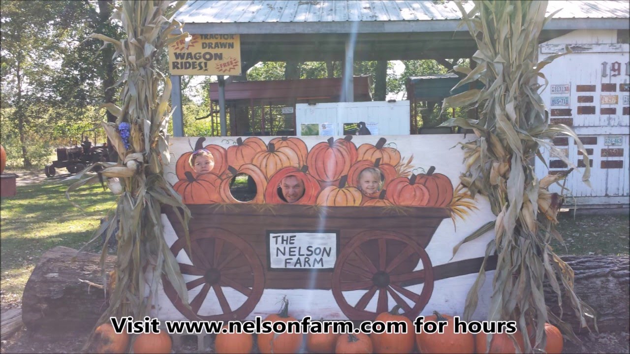 Nelson Farm in Litchfield, MN YouTube