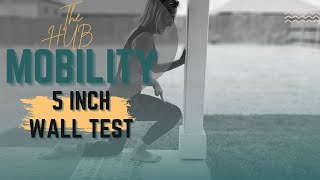 5 Inch Wall Test - HUB Mobility