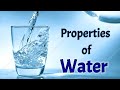 The Essential Properties Of Water And Its Importance For Life