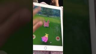 Corsola was caught! Gen2 rare Pokémon