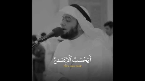 لا اقسم بيوم القيامه 🎧 القارئ احمد النفيس