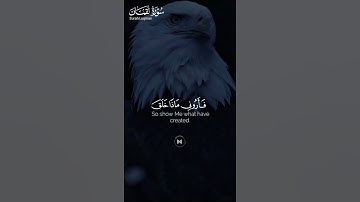 ما تيسر من #سورة_لقمان ||حالات واتس قرآن ||القارئ#عبدالباسط_عبدالصمد #تلاوة_هادئة #لايك