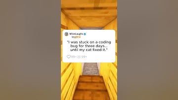 My Cat Accidentally Fixed My Coding Bug || #catsoftiktok #codinghumor #shortstory