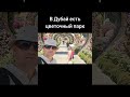 Парк из цветов в Дубае