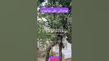 #ياسر_الدوسري #تلاوة_خاشعة #استغفر_الله #اللهم_صل_وسلم_على_نبينا_محمد #اكسبلور