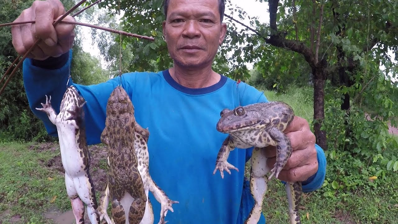 ยามเบ็ดตอนกลางคืน หมานๆ ใส่เบ็ดกบในลำห้วย หากบมาหมกแซ่บ แบบ วิถีอีสาน