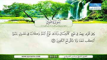 سورة هود | تلاوة مباركة من الآية 38 إلى الآية 45 | بصوت القارئ الشيخ ياسر القرشي