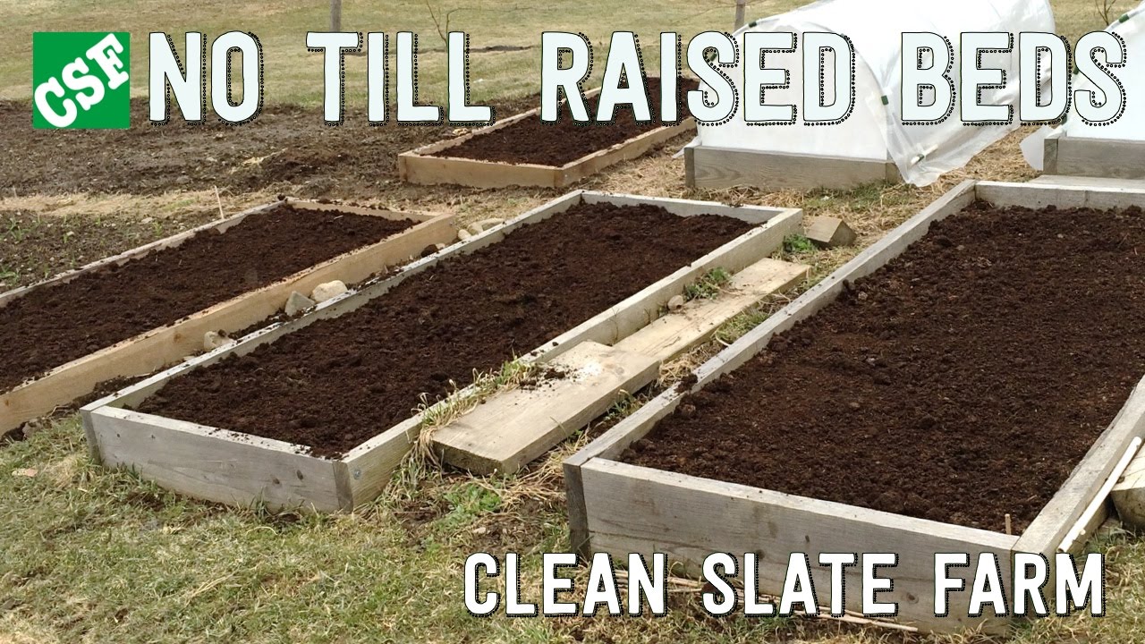 Preparing The No Till Raised Bed Gardens You Preparing The No Till Raised Bed Gardens