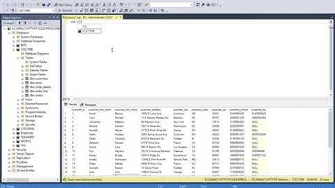 Adam Video 1 CIS 117