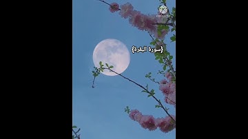 تلاوة طيبة للقارئ قادر بيشةوا كرديquran#