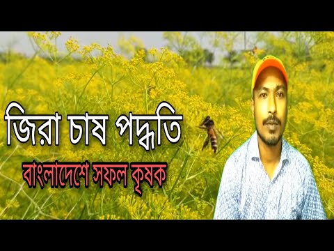 ভিডিও: জিরা: সেপ্টেম্বরে বপন করার সময় আছে