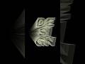 Adobe illustrator tutorial #adobeillustrator #tutorial #graphicdesigner #graphicdesign
