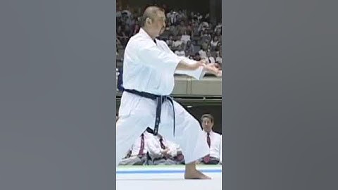 JITTE KATA #jka #shiina #sensei