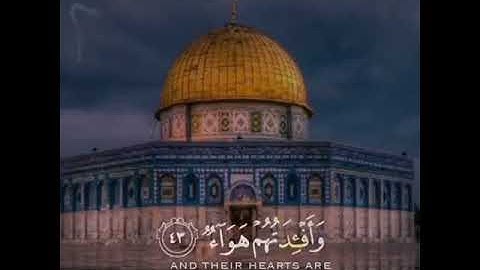 قرآن كريم بصوت القارئ عبدالرحمن مسعد تلاوة هادئة 🌿😴 حالات واتس اب / Quran ststus |Quran Kareem