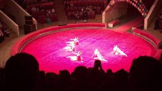 Dance performance by Indian students in Voronezh Russian federation(