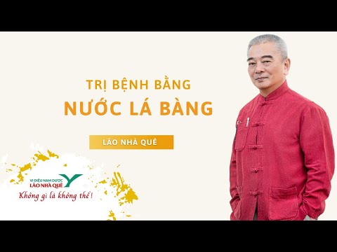 Hướng dẫn cách