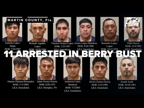 Florida berry heist: 6,000 pounds stolen, 11 arrested in organized crime bust