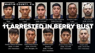 Florida berry heist: 6,000 pounds stolen, 11 arrested in organized crime bust
