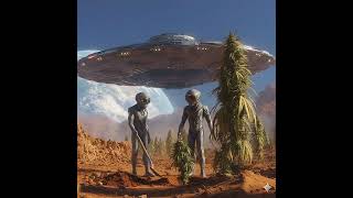 Green Mission: Secret Harvest on the Red Planet #shorts #MartianHarvest #Terraforming #FutureTech