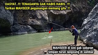 SPOT MAHSEER ISTIMEWA..!! NGERI..!! MANCING MAHSEER DI SINI UMPAN TURUN LANGSUNG DI SAMBAR