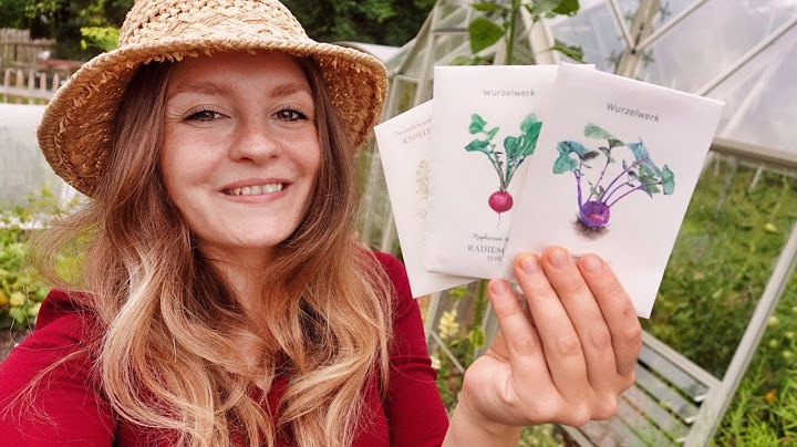 27 Gemüse, die du im August anpflanzen kannst 🥦
