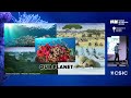 Bioengineering the biosphere: can synthetic terraformation be a conservation strategy? - B. Vidiella