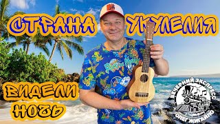 Учимся играть песни В. Цой на укулеле. Страна Укулелия
