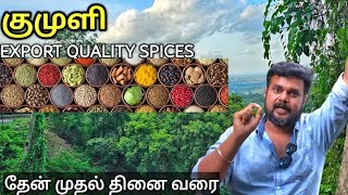 குமுளி விளைச்சள் பொருட்கள் அனைத்தும் வீட்டுக்கு வரும் | Yummy vlogs