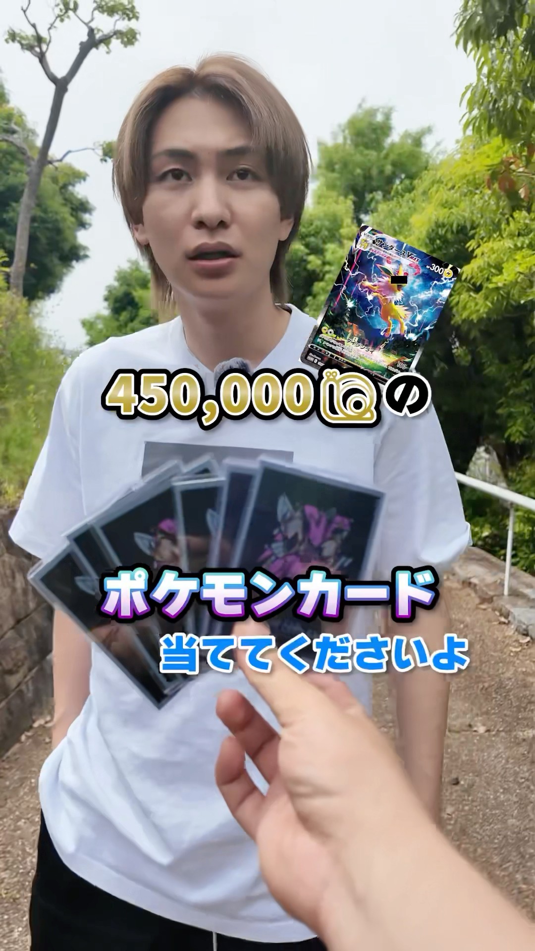 【限定品】 I bought up all the Pokemon cards that would sell for over 絵画