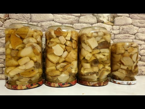Рецепт приготовления грибов от Грибоискателя ! Жареный гриб зонтик и маринованые белые грибы 2021 !