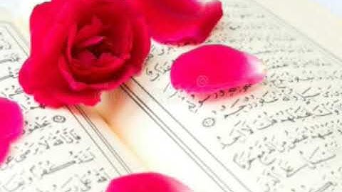 الشيخ اسامه المصري تلاوة خاشعة جدا لعلها تبكي القلوب المتحجرة 🌹🌹🌹