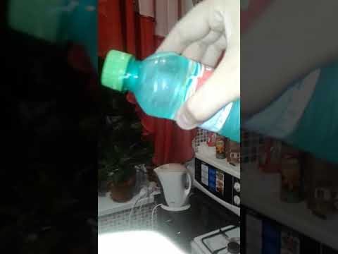 Фокус с водой