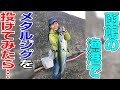 函館の漁港でメタルジグを投げてみたら… When Cast Metal Jig in Port... Hakodate Hokkaido