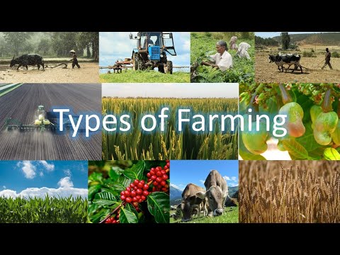 farming agriculture types commercial subsistence