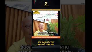 BẠC GIẢM LIÊN TỤC - KHI NÀO TĂNG LẠI? #trump #silver #fypシ