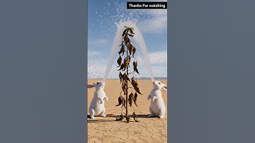 Rabbit🐰 who save the drying mango plant by watering it.😱😱#ai #viral #viralvideo  #viralvideo