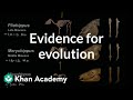 Evidence Supporting Evolution and Natural Selection